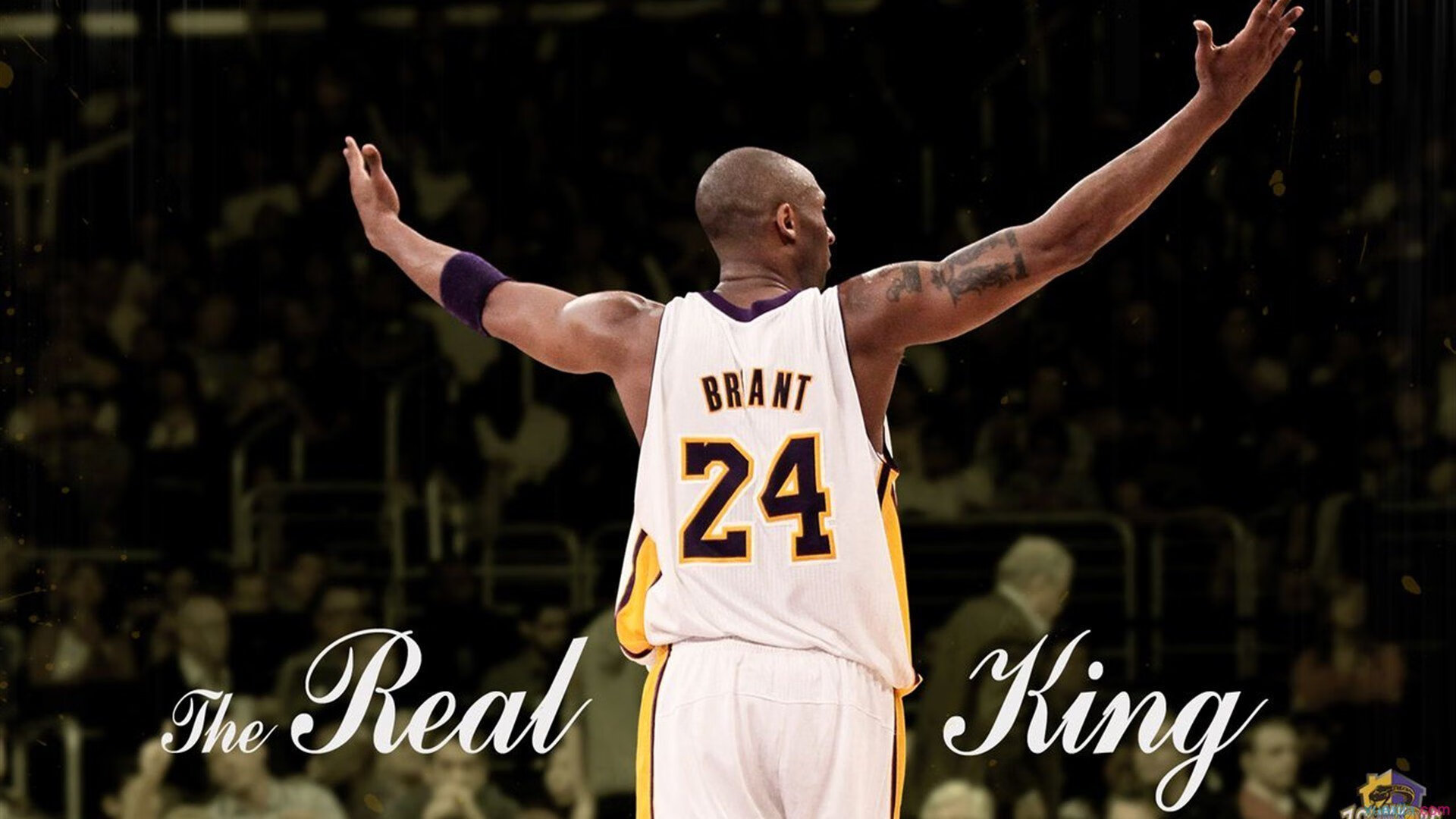 运动员体能训练方式升级